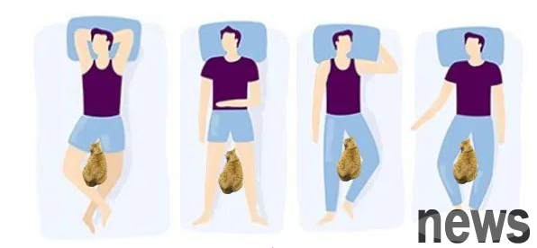 Why do cats love to sleep between my legs? What do you think?