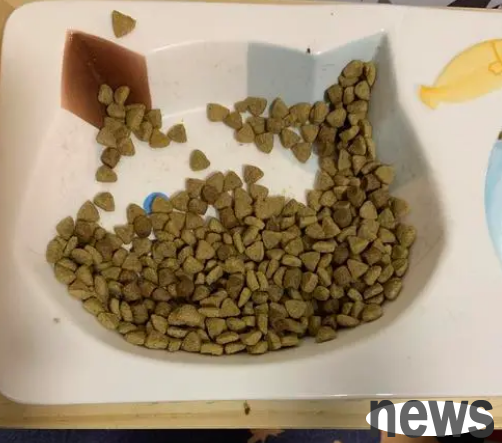 Why do cats always leave some cat food in a bowl and not eat it?