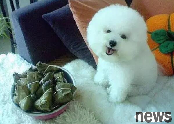 The Dragon Boat Festival is here, can dogs eat rice dumplings?