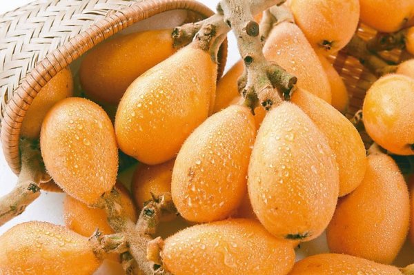 Does a spoonful have anti-aging effects? Expert: Loquat 