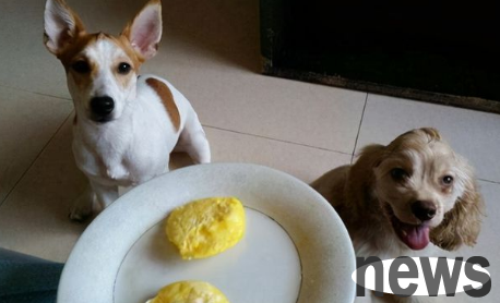 Is it better to eat egg whites or egg yolks? There are answers here!