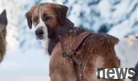 This article tells you what kind of dog Buck is!