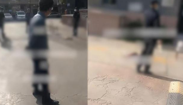 An old man was hit by a falling dog and died. The police intervened! The owner of the dog has not been found yet