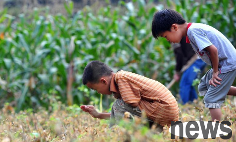 Commonly known as the 