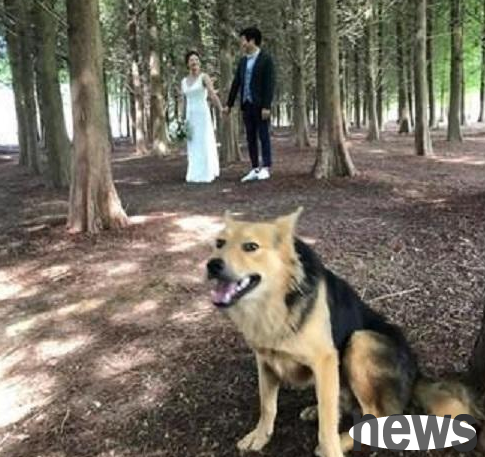 When taking wedding photos, I encountered a 