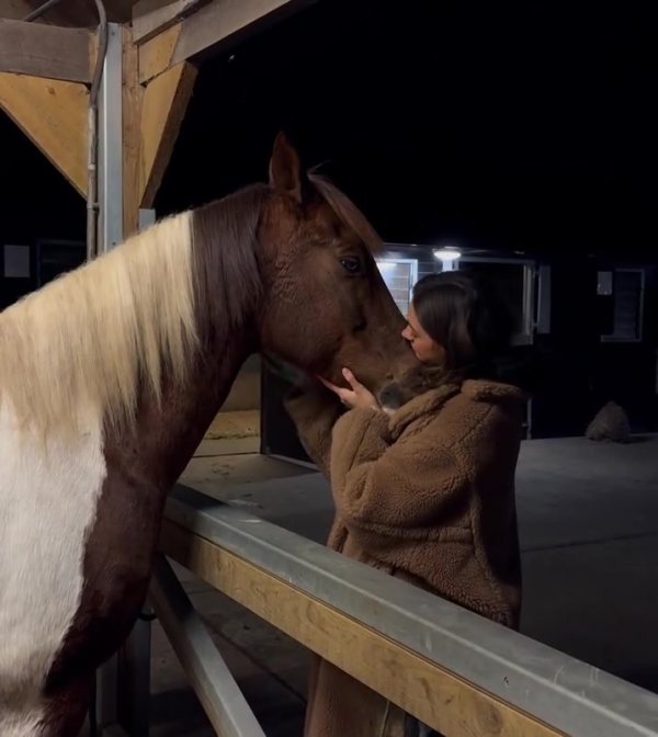 Havertz s wife posted a video + post on social media to mourn the death of her beloved horse: I miss you so much