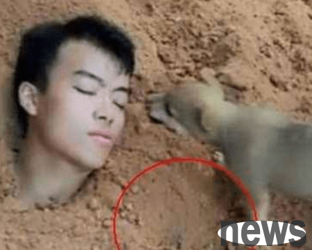 The man pretended to be buried by his best friend and concluded what the dog did, which deeply moved the people present.