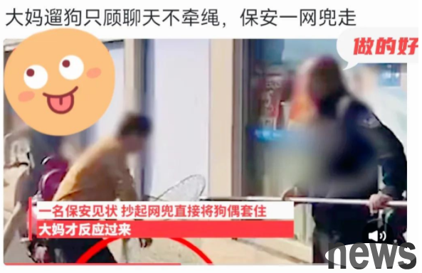 The security uncle lets you see what speed means. If you don’t hold the dog leash, you should put it on it.