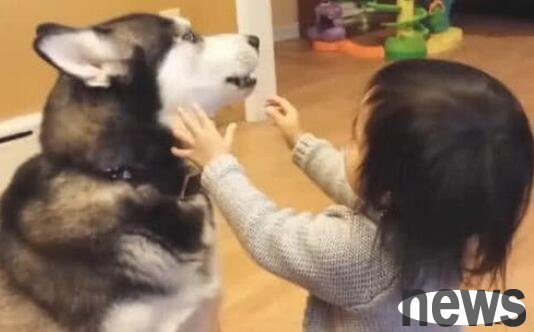 He left the dog in the care of his niece and went to pick up Erha to see a scene that left him speechless.