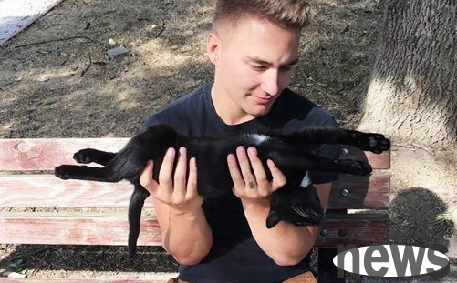 The cat stood guard every day, and American soldiers were finally conquered by it